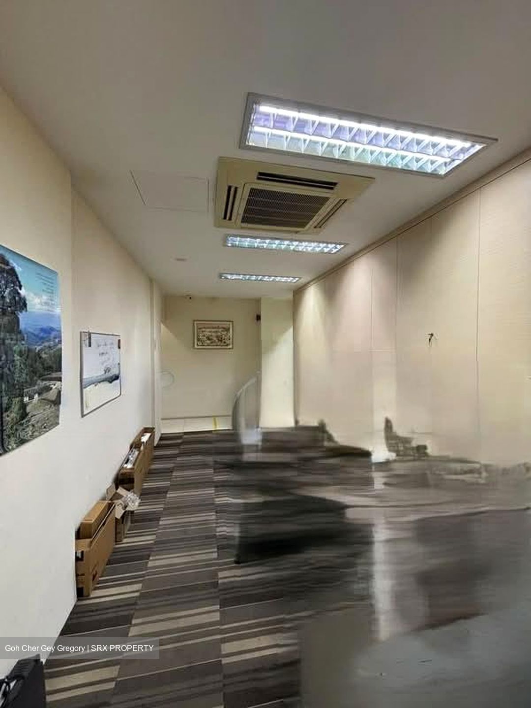 Hougang Avenue 3 (D19), Shop House #553609661